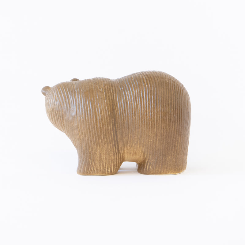 Bear medium