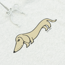 帕克（臘腸犬）灰色）