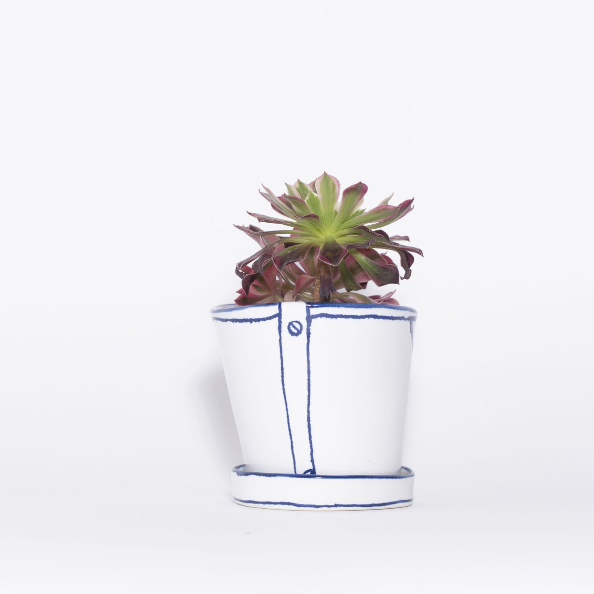バケツの植木鉢（寄せ植え・テンダイとピンクウィッチ）(seto)