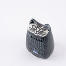 Liten Katt（黃色）