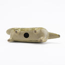 斯托拉動物園貓站立