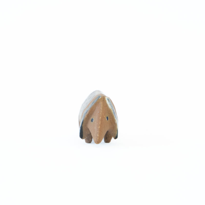 Lilla zoo Tax（Dachshund）