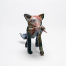 Renards Issus de L'NSTALLATION DIVERSITé 2