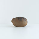 莉拉動物園貓說謊