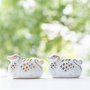 200萬伏特的黃金和星星