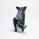 Renards Issus de L'NSTALLATION DIVERSITé 2