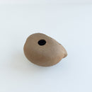 莉拉動物園貓說謊