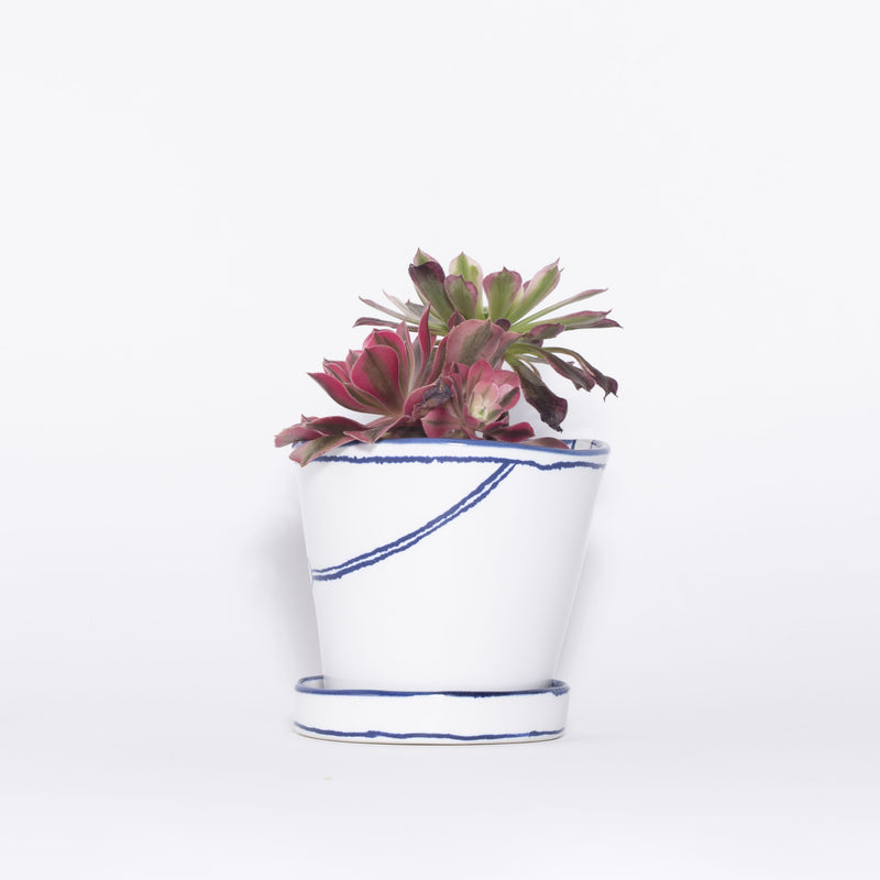 【新品】tendo botanical 鬼鉢　バケツ バケツの植木鉢（寄せ植え・テンダイとピンクウィッチ）(seto)