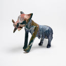 Renards Issus de L'NSTALLATION DIVERSITé 2