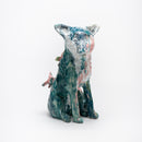 Renards Issus de L'NSTALLATION DIVERSITé 1