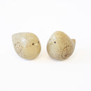 Bird （He,She）一组