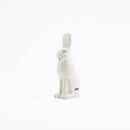 Skansen Fjallhare（兔子）