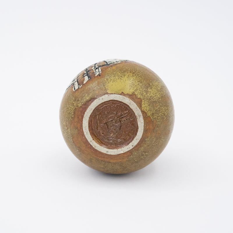 獨特的作品trattformad vas