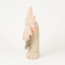 Fleur玫瑰（粉紅色的花）