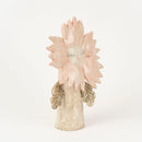 Fleur玫瑰（粉紅色的花）