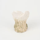 Pâquerette（デイジー）