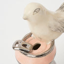 Bird on a can（空き缶にのった鳥）