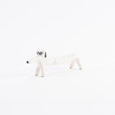 花瓶（眼鏡狗）