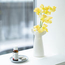 低音連衣裙（白色）