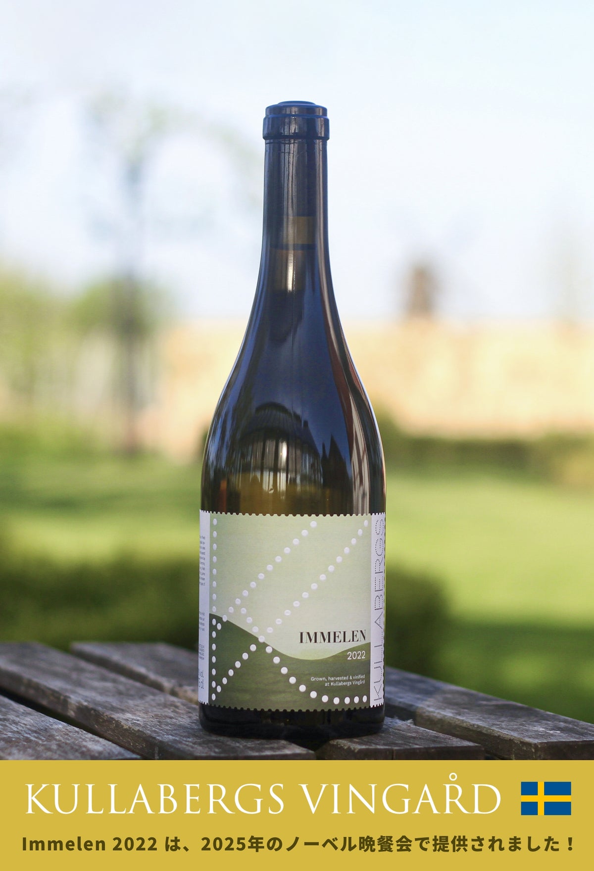 LINE_1_1200x.jpg?v=1765785527