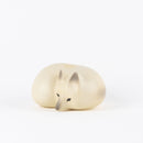 福克斯在雪中NO.37