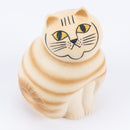 MIA半米德群（棕色）