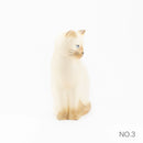 Man's Maxi (Brown White)