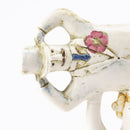 ガールズパワー（No.1)