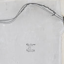 鳥鏡（哈雷金）