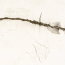 Vagggplattor jubileum