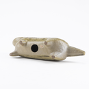 斯托拉動物園貓