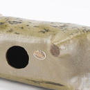 斯托拉動物園貓