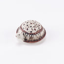 SKÖLDPADDOR(カメ)