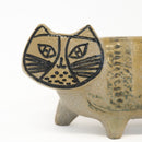 斯托拉動物園貓站立