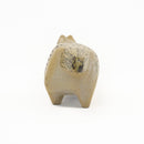 斯托拉動物園貓站立