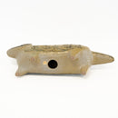 斯托拉動物園貓站立