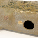 斯托拉動物園貓站立