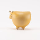 斯托拉動物園牛