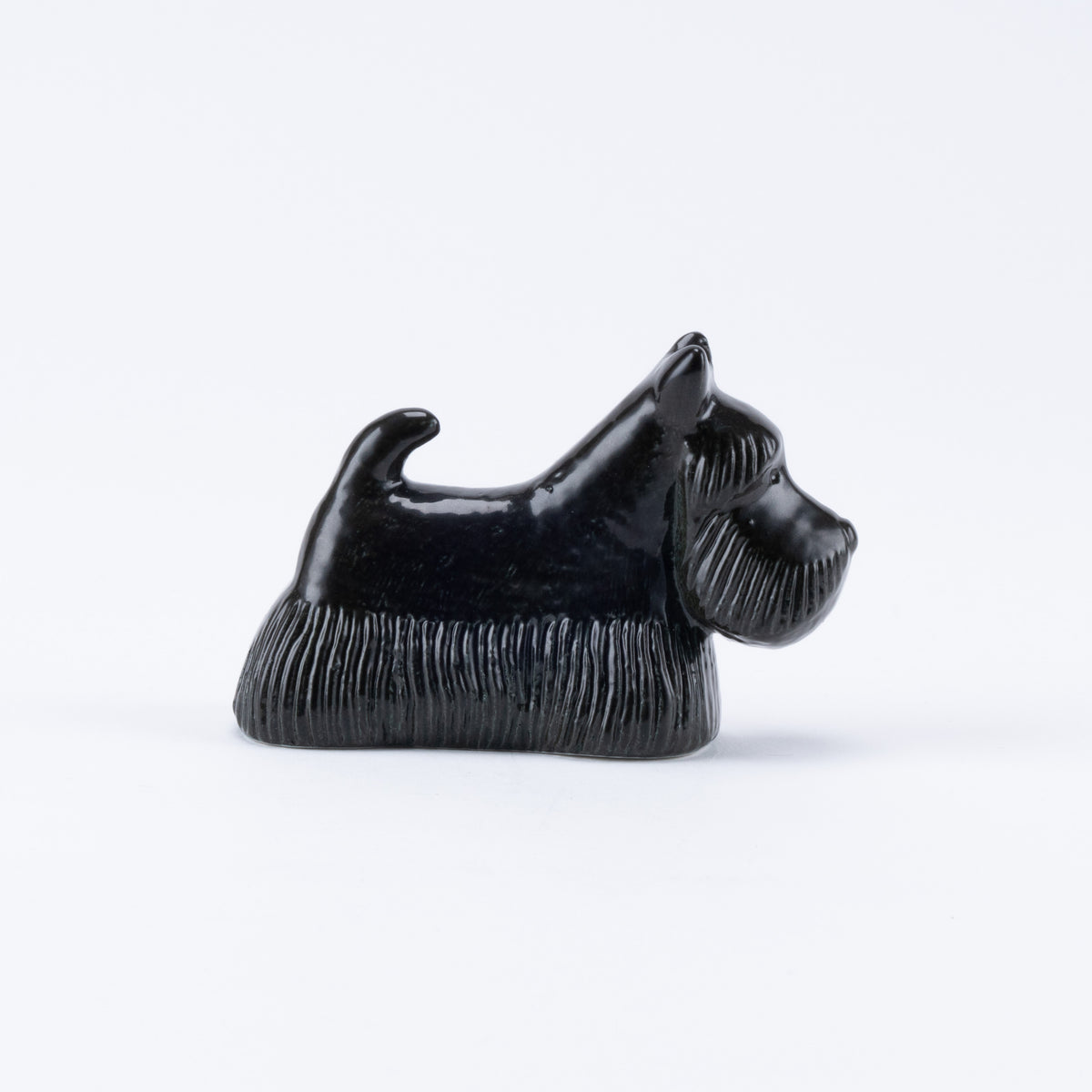 KENNEL Skotte