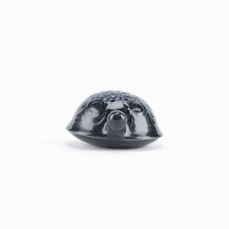 Skoldpaddor Turtle Blue（海龜）