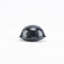 Skoldpaddor Turtle Blue（海龜）