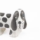 狗窩西班牙獵犬發現