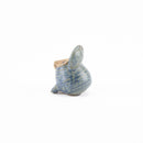 眼睛腹瀉g補充st