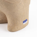 前金融部長奇怪的運動盒