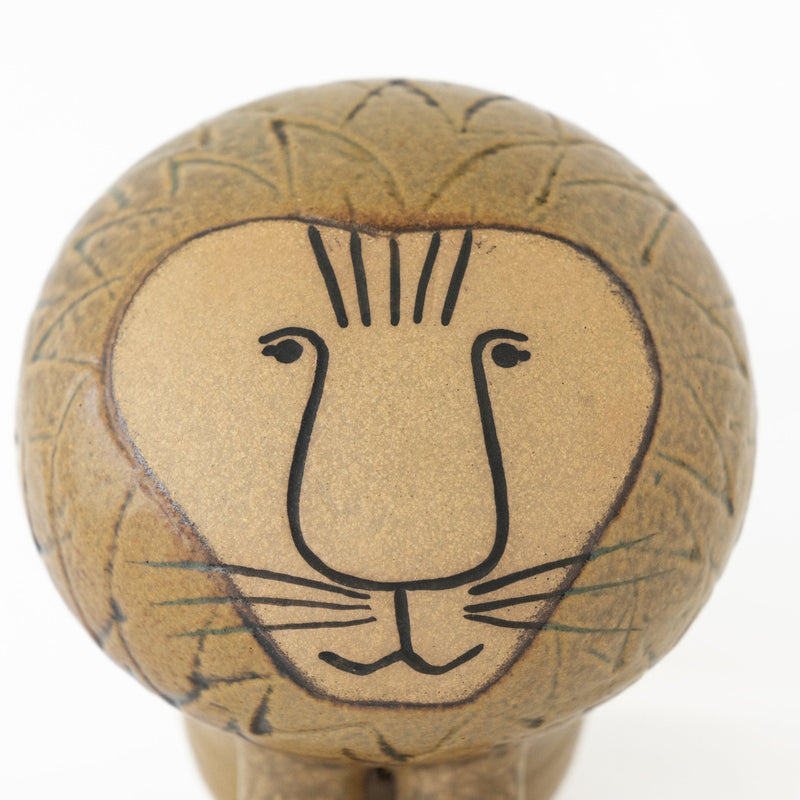 AFRICA LION
