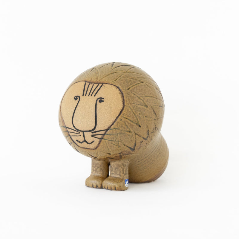 AFRICA LION