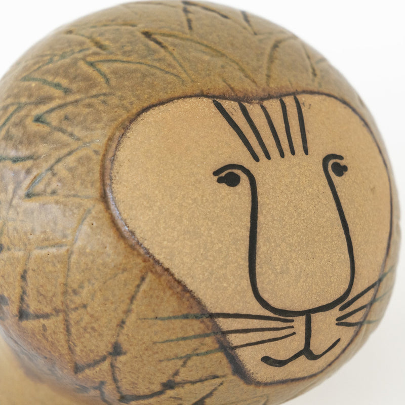 AFRICA LION