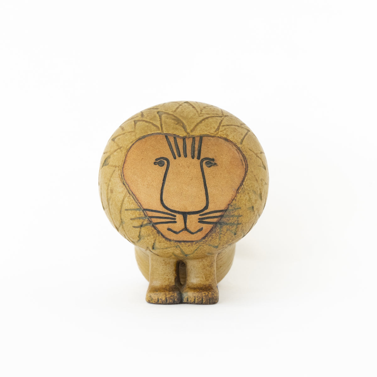 AFRICA LION