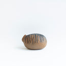 莉拉動物園貓套裝