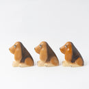 Bassetto